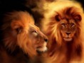 /album/wallpapers/animal-wallpapers-lion-wallpapers-mobile-wallpapers-pc-wallpapers-mobile-themes-pc-themes-15bf-jpg/